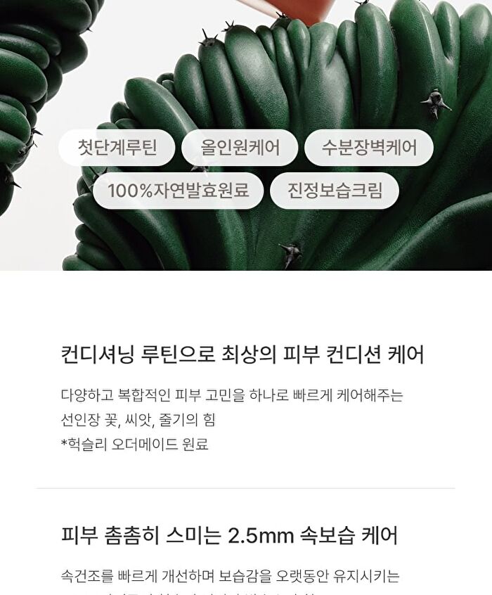 Conditioning Cream Freeshape - 2026 Version - 50ml