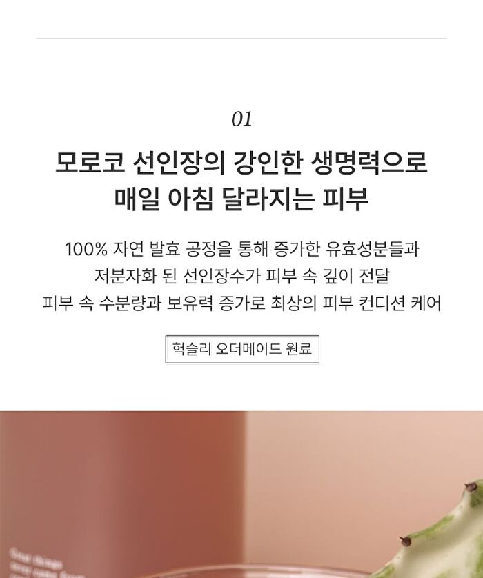 Conditioning Serum Freeshape - 2026 Version - 50ml