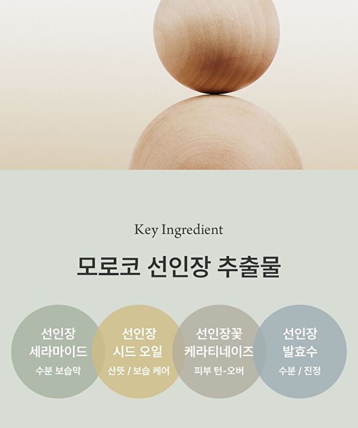 Conditioning Serum Freeshape - 2026 Version - 50ml