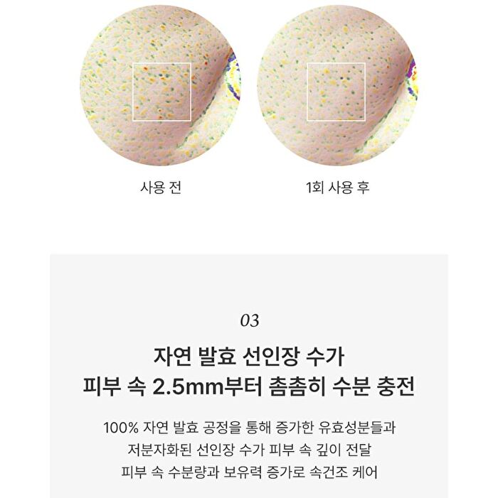 Conditioning Essence Toner Freeshape Mini - 2026 Version - 200ml