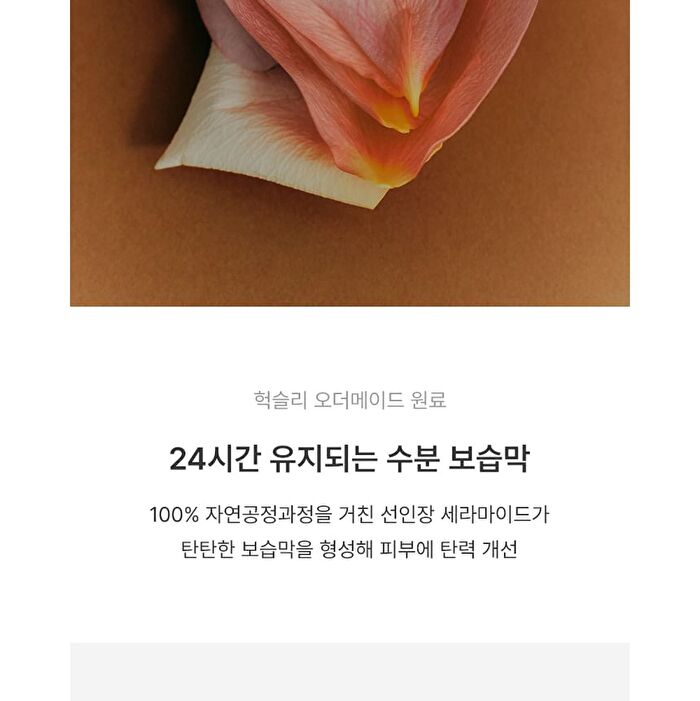 Body Lotion Rose Picker - 300ml