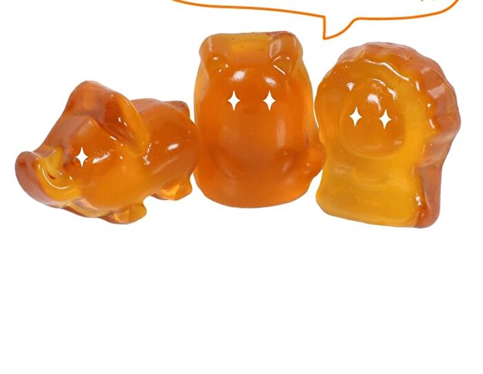 LIVELING Apple Cider Vinegar Gummy - 2 Types - 2025 Version - Mango Flavor