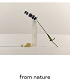 Stress Relaxer - 8ml