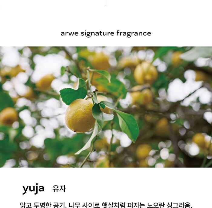 Hand Balm - 2 Types - Yuja