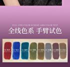 Car Mela Dark Gothic Lip Mud - 8 Colors - N04# Quagmire - 6.5g
