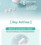Sebum Control Facial Cleanser - 100g