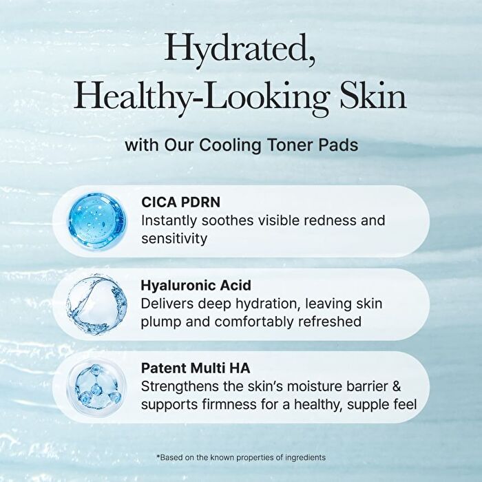 PDRN Hyaluronic Deep Hydration Pad - 90 pads