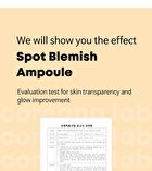 VC Shot Ampoule Jumbo - 2025 Version - 100ml