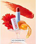 Glass Tinted Lip Balm - 7 Colors - #014 Vanilla Peach