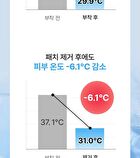 Cooling Sun Patch - 4.5g x 4 patches
