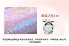 Holiday Series Chameleon Eyeshadow - 5 Colors - #04 Arriving - 1.8g