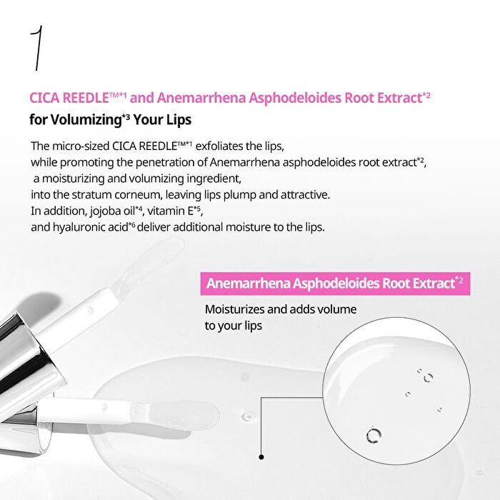 Vt Lip Plumper Special Edition Box - 7 pcs