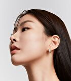 Javin De Seoul Wink Foundation Pact Refill Only - 7 Colors - #18 Cover Light
