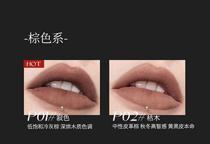 Misty Code Matte Lip Mud - 6 Colors - P01# Taupe Brown - 2g