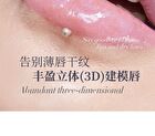 Voltshine Optical Mirror Lip Gloss - 6 Colors - P04# Glacier Transparent (with Shimmer) - 2.5g