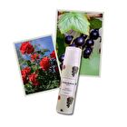 elvis+elvin Rose & Black Currant Hand Cream - 75ml