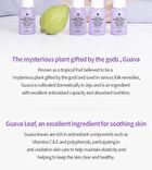 Guava Hydrating Makeup Base Prep Primer - 35ml