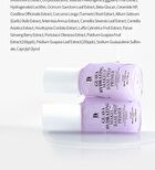 Guava Hydrating Makeup Base Prep Primer - 35ml