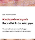 Mucin Fill Up Patch - 8 pairs