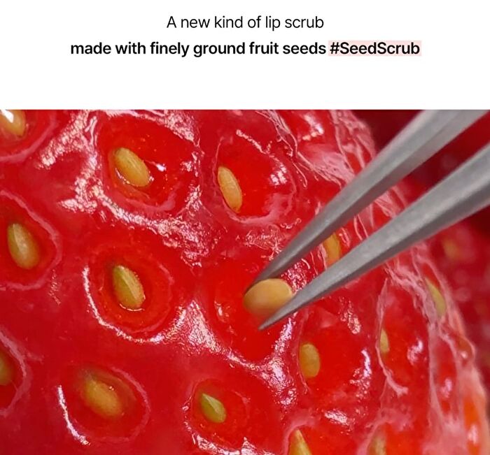 Seed Care Lip Scrub - 4 Types - #01 Sunset Mango