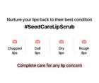 Seed Care Lip Scrub - 4 Types - #01 Sunset Mango