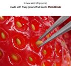 Seed Care Lip Scrub - 4 Types - #02 Grapefruit Fizz