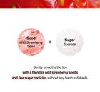 Seed Care Lip Scrub - 4 Types - #02 Grapefruit Fizz