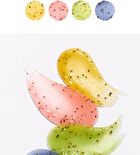 Seed Care Lip Scrub - 4 Types - #02 Grapefruit Fizz