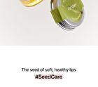 Seed Care Lip Scrub - 4 Types - #03 Muscat Dew
