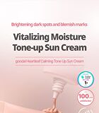 Heartleaf Calming Tone Up Sun Cream Mini - 25ml