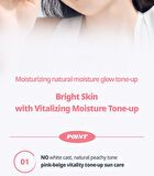 Heartleaf Calming Tone Up Sun Cream Mini - 25ml