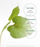 Heartleaf Calming Mineral Filter Sun Cream Mini - 25ml