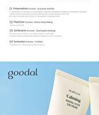 Heartleaf Calming Mineral Filter Sun Cream Mini - 25ml