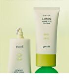 Heartleaf Calming Mineral Filter Sun Cream Mini - 25ml