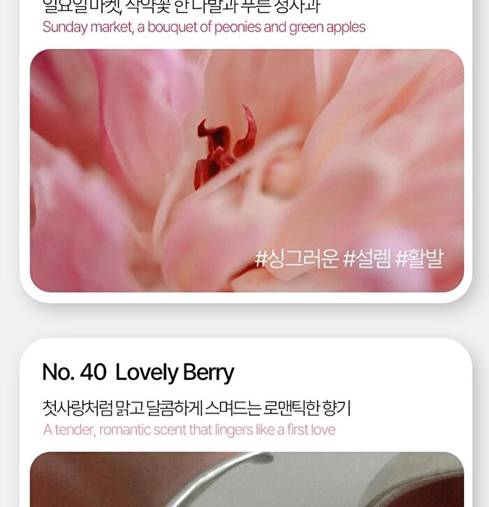 Super All Day Fresh Deo Tissue - 3 Types - Lovely Berry