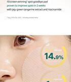 Green Tangerine Vita C Dark Spot Care Pad Alpha - 2025 Version - 70 pads