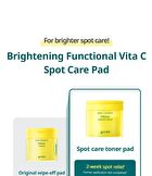 Green Tangerine Vita C Dark Spot Care Pad Alpha - 2025 Version - 70 pads