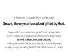 Guava Moisture Collagen Facial Mist - 100ml