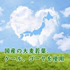 Fine Japan Japanese Green + Chia Seeds Powder - Banana Flavor - 40 sticks
