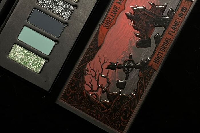 Shellwe Makeup Ghoul Nocturnal Flame 10 Color Chameleon Eye Shadow Palette - #Mini Size - 5g