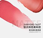 Vitality Versatile Series Velvet Mist Lip Mud - 23 Colors - V29 - 3g