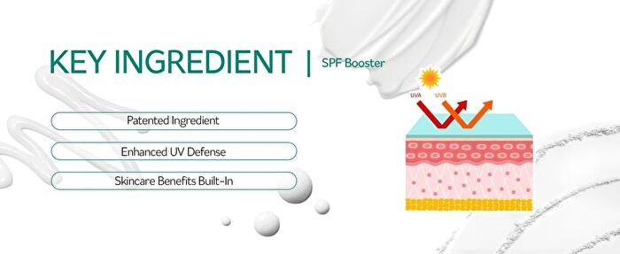 Pestlo Saferecipe Collection Special Kit - 5 pcs