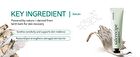 Pestlo Saferecipe Collection Special Kit - 5 pcs