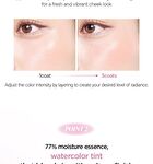 Jung Saem Mool Artist Cushion Blush - 10 Colors - Rare Rose