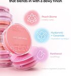 Jung Saem Mool Artist Cushion Blush - 10 Colors - Peach Nectar