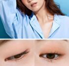 Artist Eye Palette - 3 Types - 2025 Version - Yellow Brown