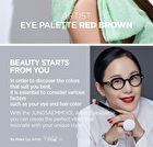 Artist Eye Palette - 3 Types - 2025 Version - Yellow Brown