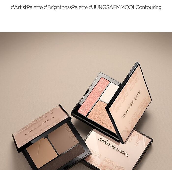 Jung Saem Mool Artist Face Palette Contour - 14.3g