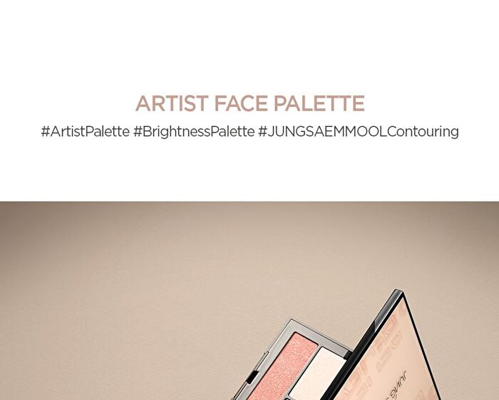 Jung Saem Mool Artist Face Palette Highlighter - 13.7g