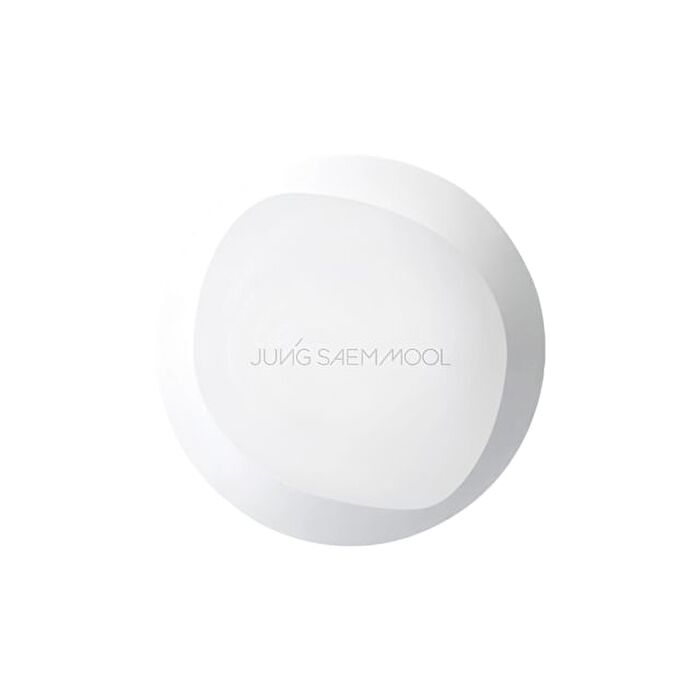 Jung Saem Mool Pro-Lasting Flawless Fit Mesh Cushion - 6 Colors - #17 Fair